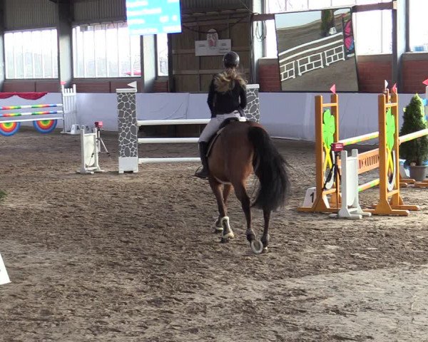 Reitturnier Greven 2022