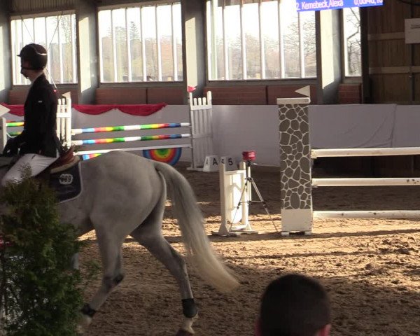 Reitturnier Greven 2022