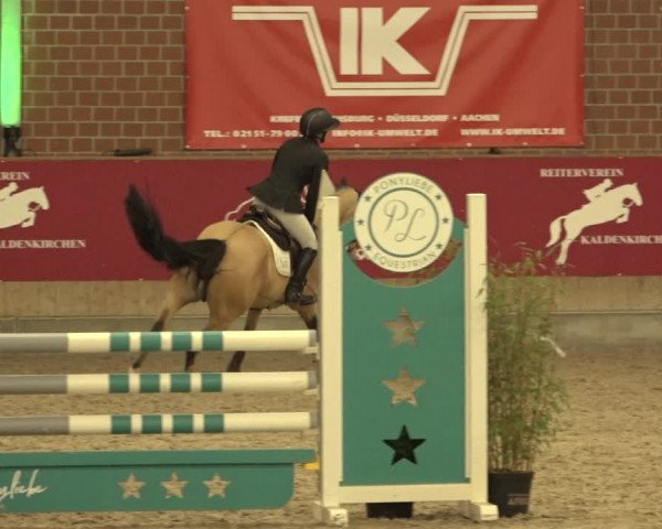 Reitturnier Kaldenkirchen - Gestüt Seehof 2022