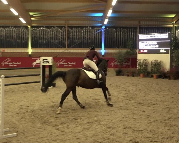 Reitturnier Kaldenkirchen - Gestüt Seehof 2022