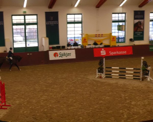 Reitturnier Redefin 2022