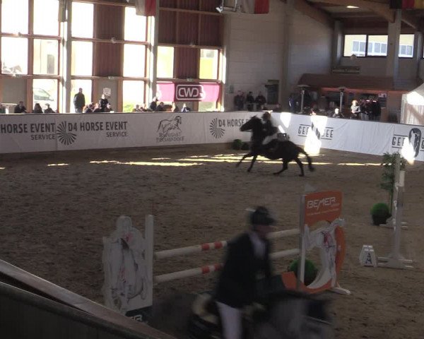 Reitturnier Prussendorf 2022