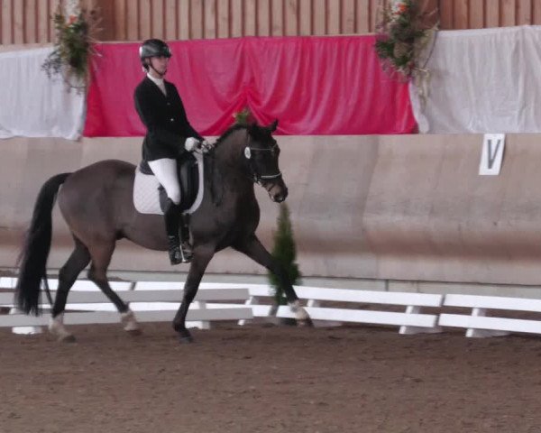Reitturnier Schwendi 2022