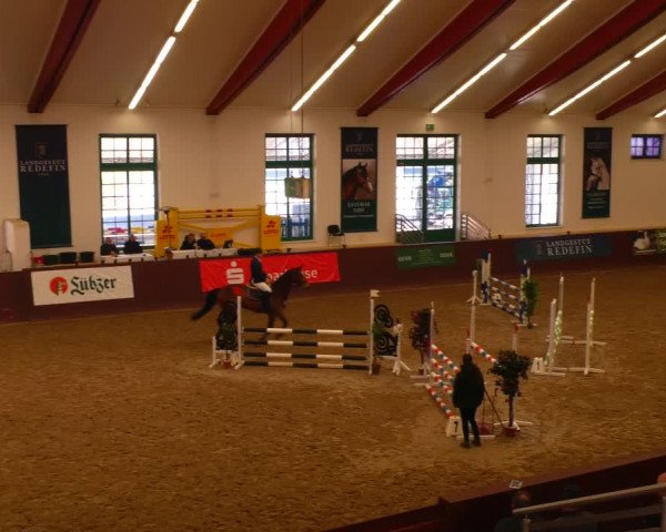 Reitturnier Redefin 2022