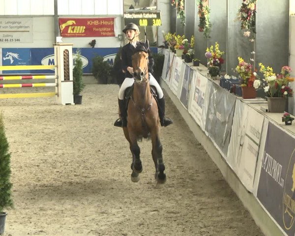Reitturnier Karlsfeld 2022