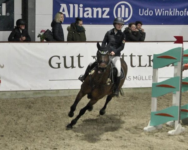 Reitturnier Karlsfeld 2022