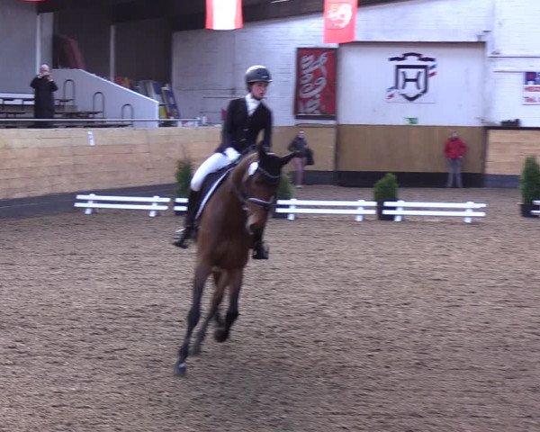 Reitturnier Heide 2022