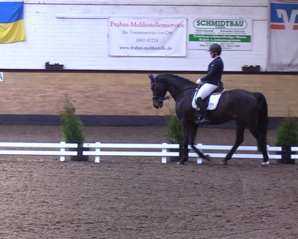 Reitturnier Heide 2022