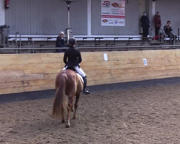 Reitturnier Heide 2022