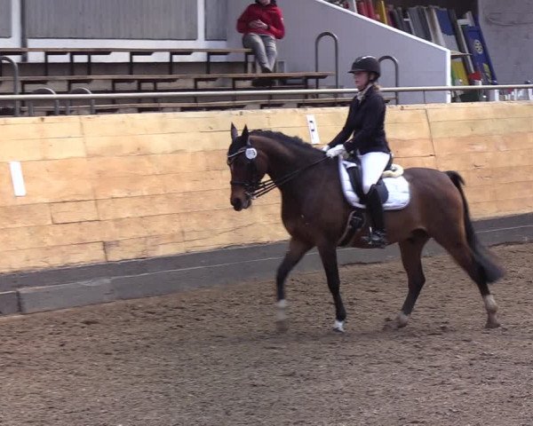 Reitturnier Heide 2022