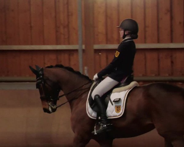 Reitturnier Schwendi 2022