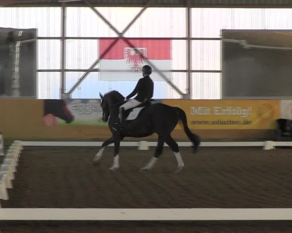 Reitturnier Pausin 2022
