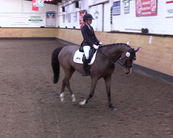 Reitturnier Heide 2022