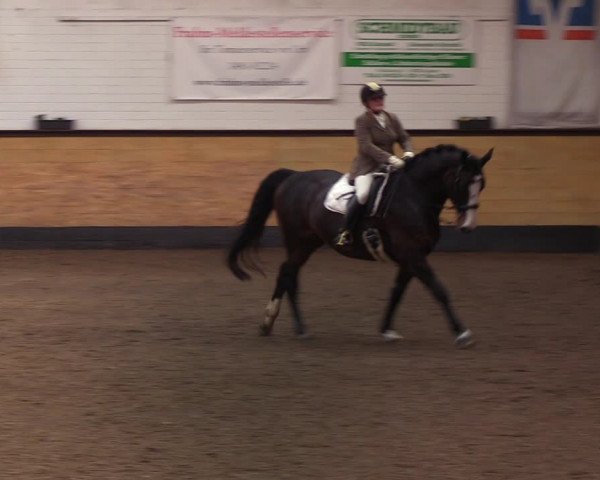 Reitturnier Heide 2022