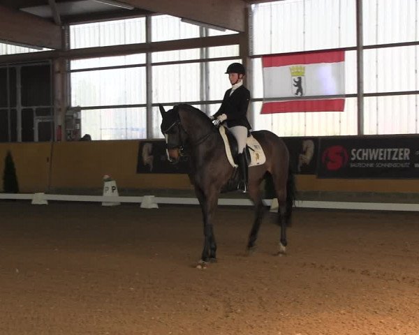 Reitturnier Pausin 2022