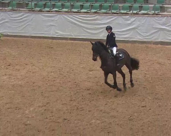 Reitturnier Kreuth/Opf. 2022