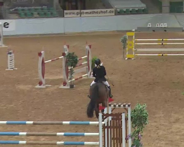 Reitturnier Kreuth/Opf. 2022