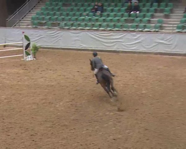 Reitturnier Kreuth/Opf. 2022