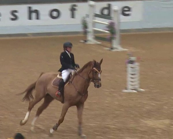 Reitturnier Kreuth/Opf. 2022