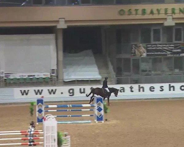 Reitturnier Kreuth/Opf. 2022