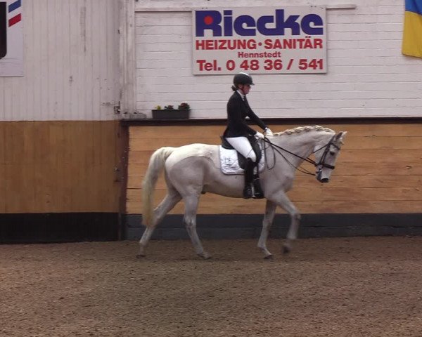 Reitturnier Heide 2022
