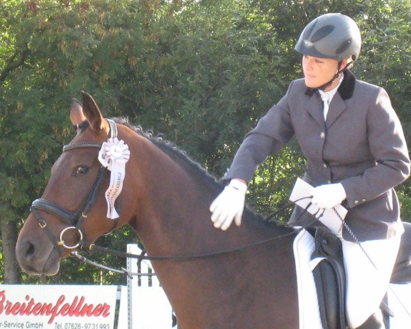 dressage horse Cappuccina 13 (Westphalian, 2009, from Carell)