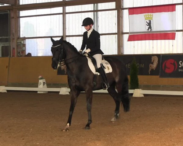 Reitturnier Pausin 2022