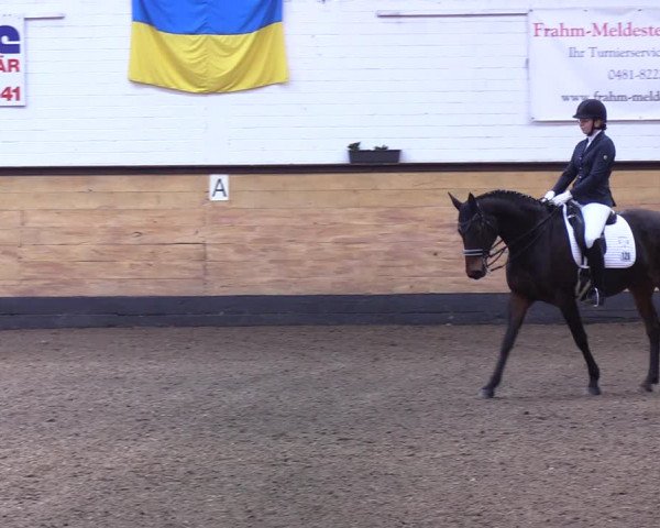 Reitturnier Heide 2022