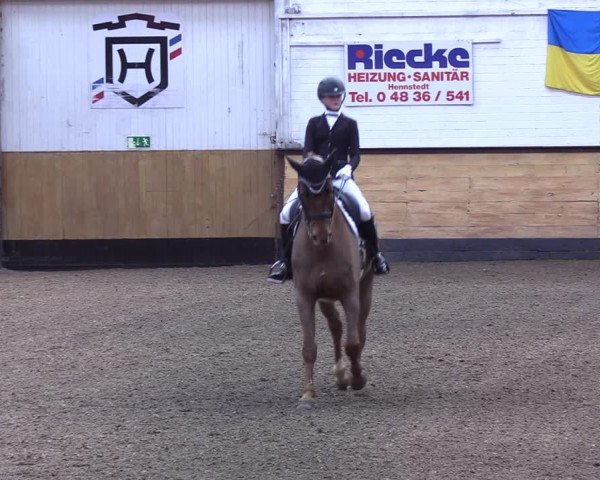 Reitturnier Heide 2022