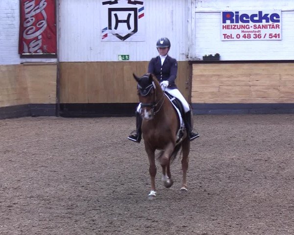 Reitturnier Heide 2022