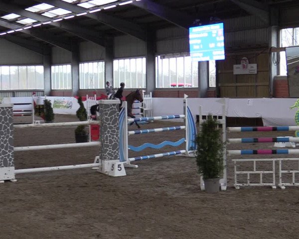 Reitturnier Greven 2022