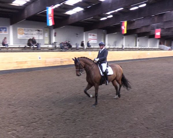 Reitturnier Heide 2022