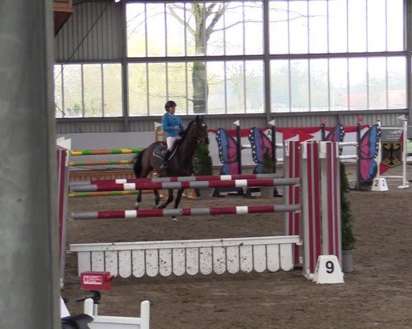 Reitturnier Greven 2022