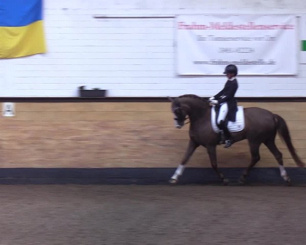 Reitturnier Heide 2022
