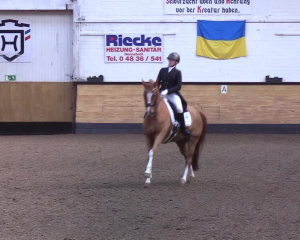Reitturnier Heide 2022