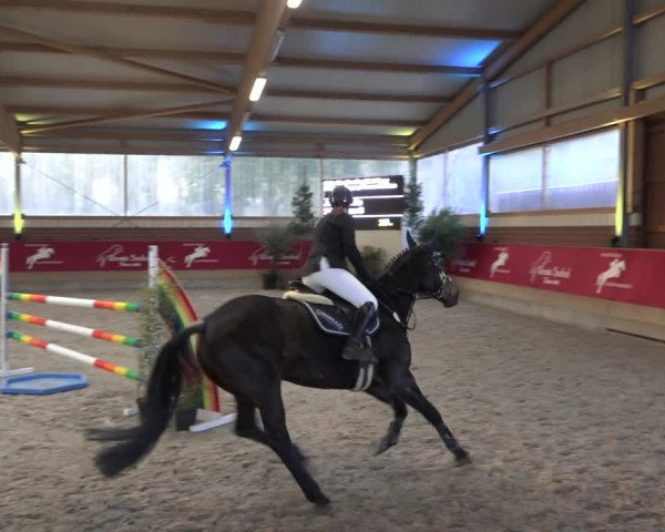 Reitturnier Kaldenkirchen - Gestüt Seehof 2022
