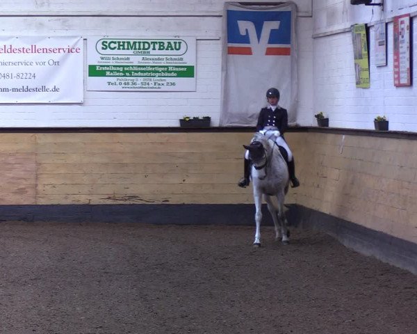 Reitturnier Heide 2022