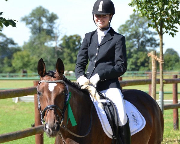 broodmare Dorota M (Zweibrücken, 2006, from Diamond Hit)