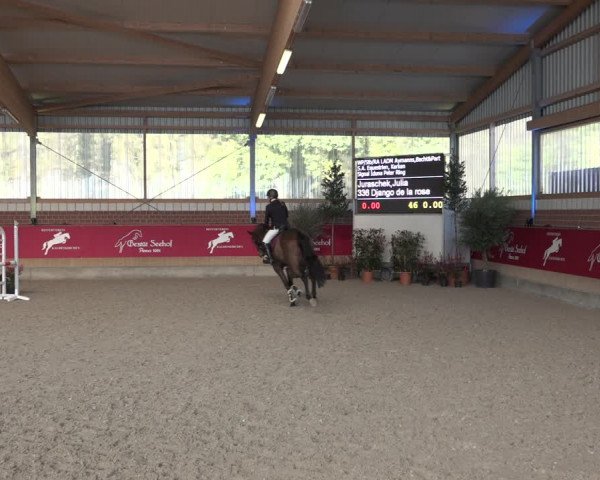 Reitturnier Kaldenkirchen - Gestüt Seehof 2022