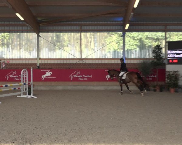 Reitturnier Kaldenkirchen - Gestüt Seehof 2022