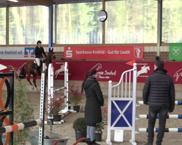 Reitturnier Kaldenkirchen - Gestüt Seehof 2022
