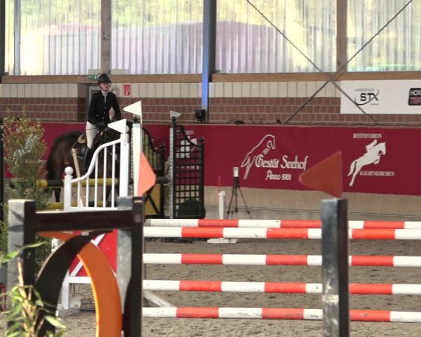 Reitturnier Kaldenkirchen - Gestüt Seehof 2022