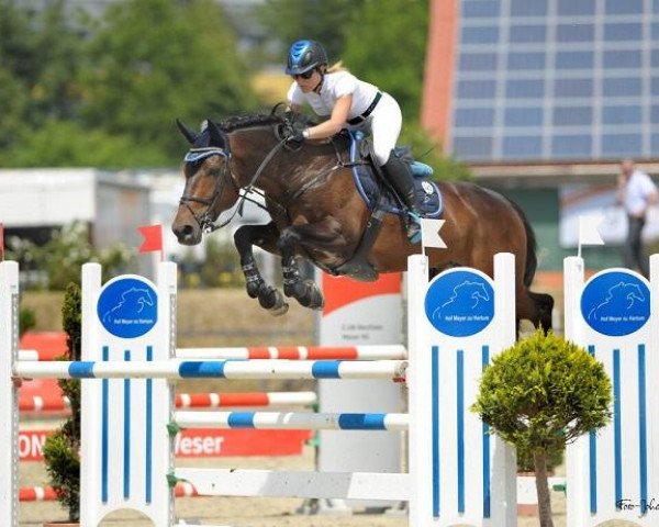 jumper Ballistic M2s (Irish Sport Horse, 2006, from Ekstein)