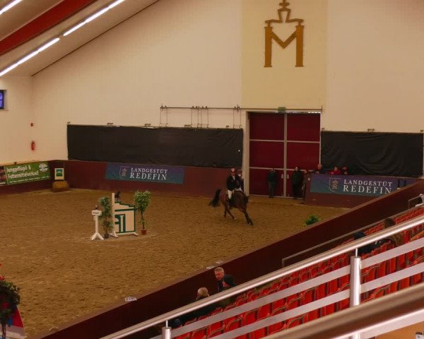 Reitturnier Redefin 2022