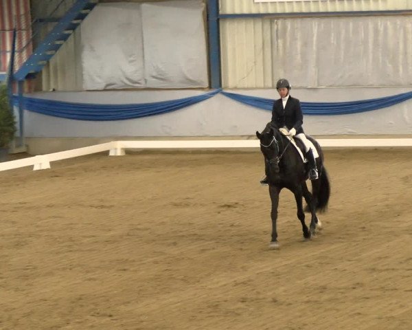 Reitturnier Buchs 2022