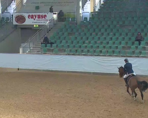 Reitturnier Kreuth/Opf. 2022