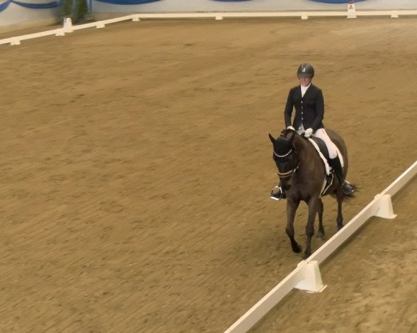 Reitturnier Buchs 2022