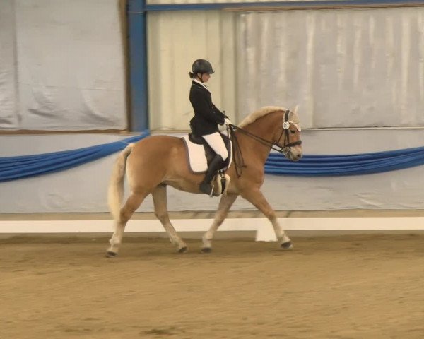 Reitturnier Buchs 2022