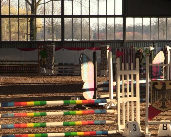 Reitturnier Greven 2022
