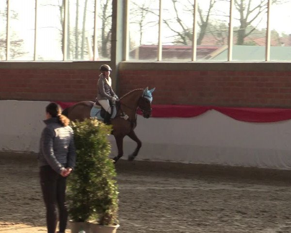 Reitturnier Greven 2022